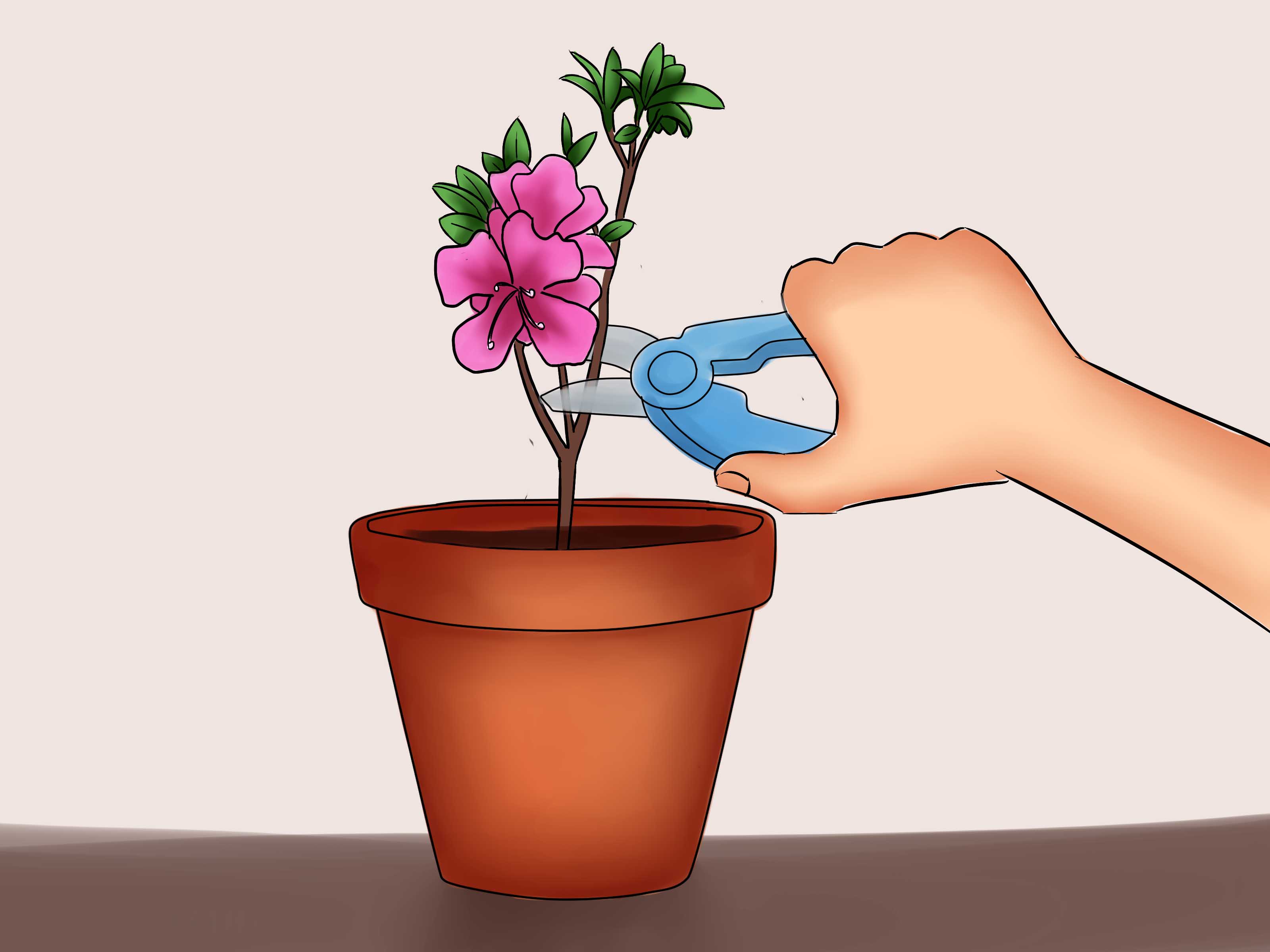 Как поливать цветы в коробке