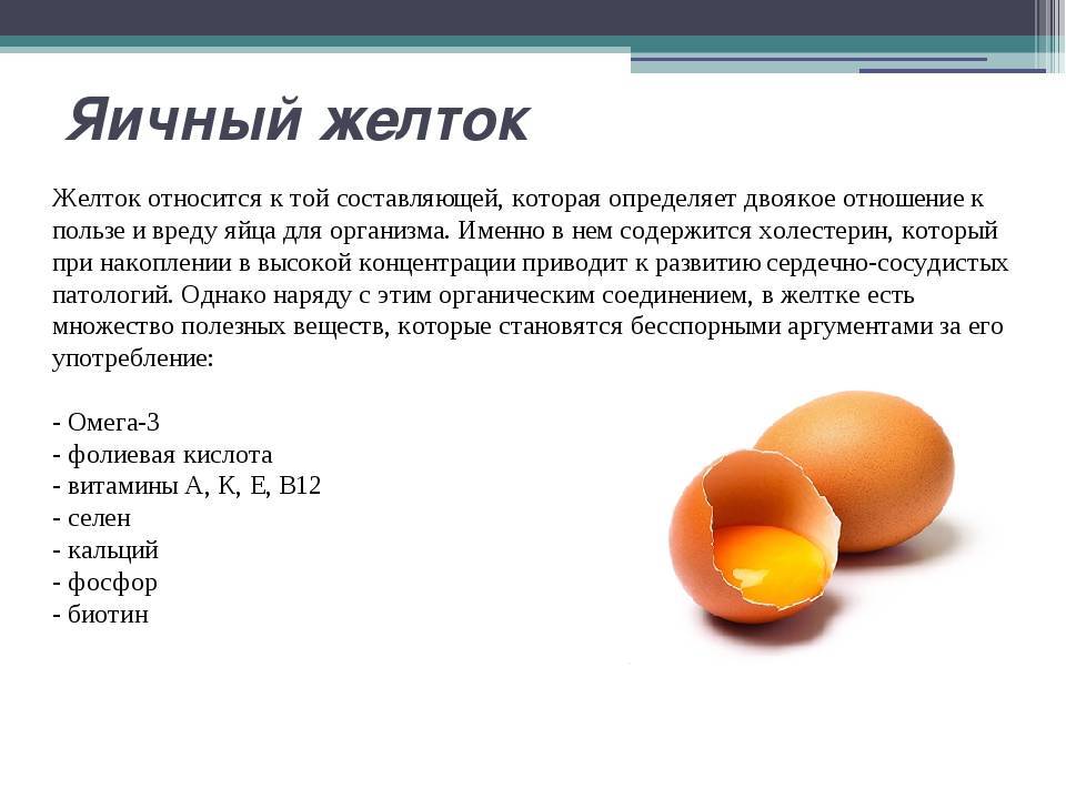 Куриное яйцо польза и вред для организма с фото: кулинарика