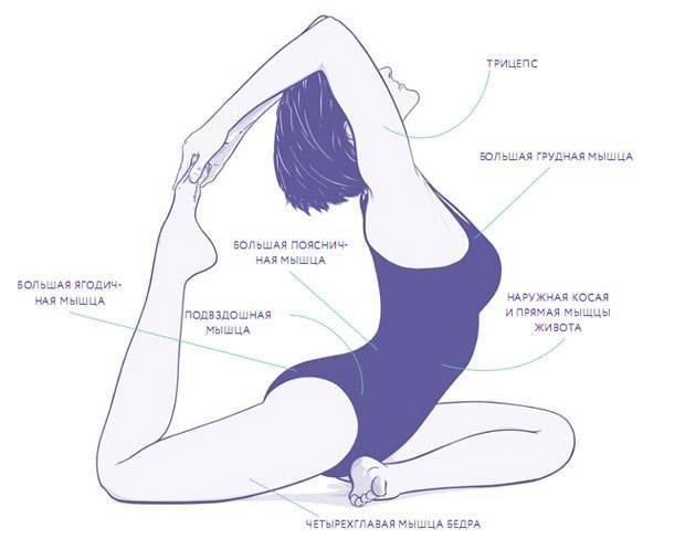 Поза голубя (капотасана): техника выполнения и польза асаны в йоге