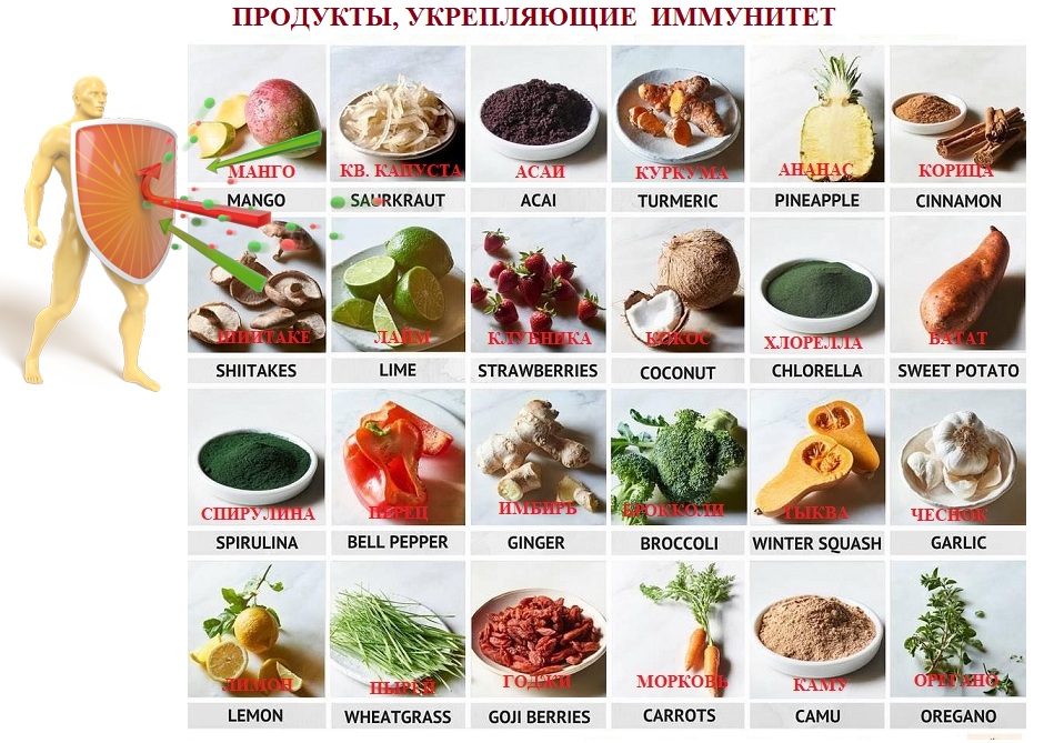 10 самых полезных продуктов :: инфониак