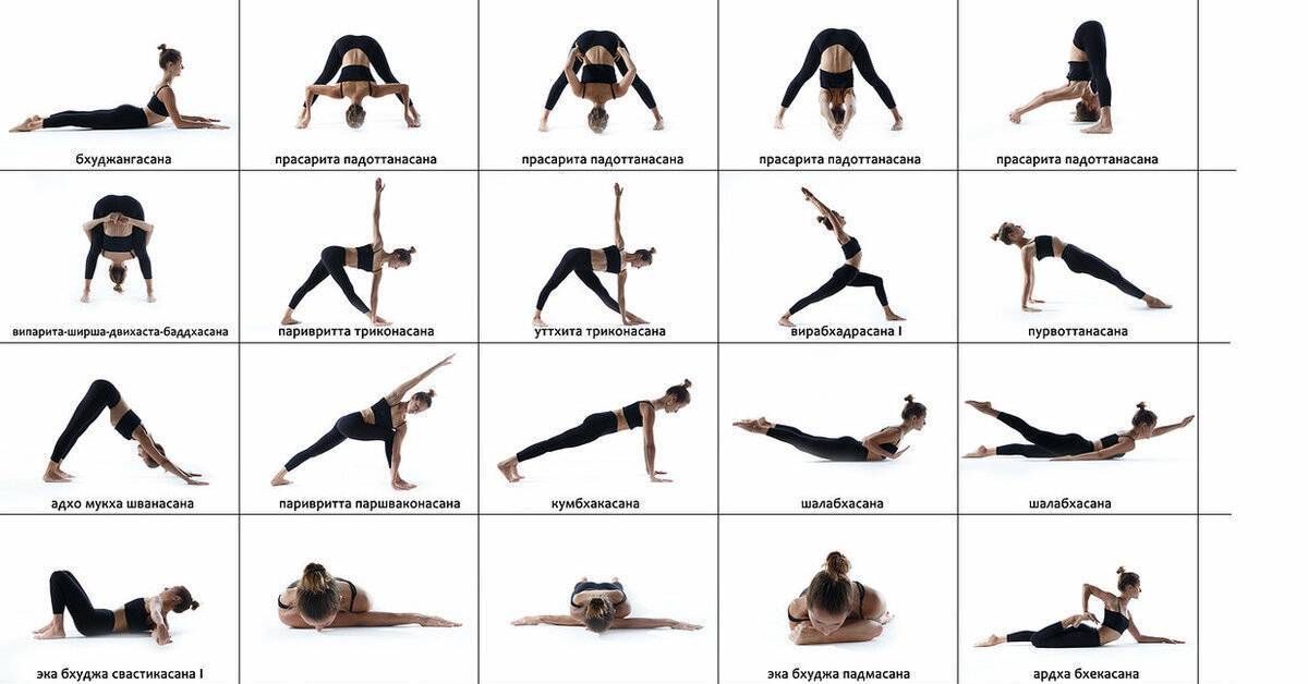 10 базовых поз йоги для начинающих