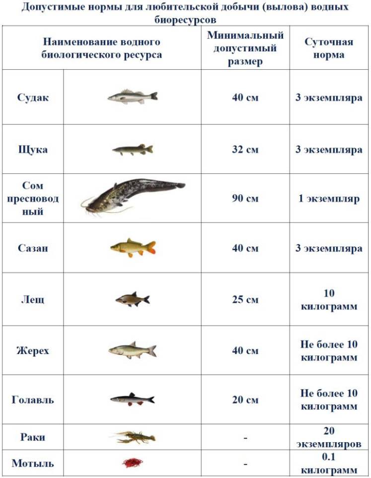 Оренбург - календарь рыболова. рыбалка в оренбурге, график клёва рыбы.