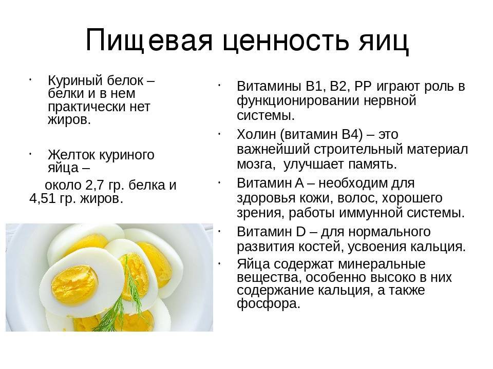 Яйцо – это… химический состав куриных яиц, польза и вред, калорийность и пищевая ценность | кулинарный портал
