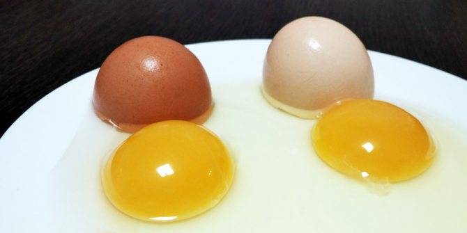 Почему яйцо оранжевое. Цвет желтка. Цвет яичного желтка. Двухжелтковое яйцо. Бледный желток.