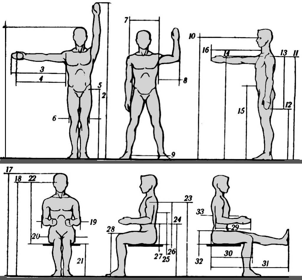 Использование специальных методов тренировки, вызывающих максимальную гипертрофию мышц | fpa
