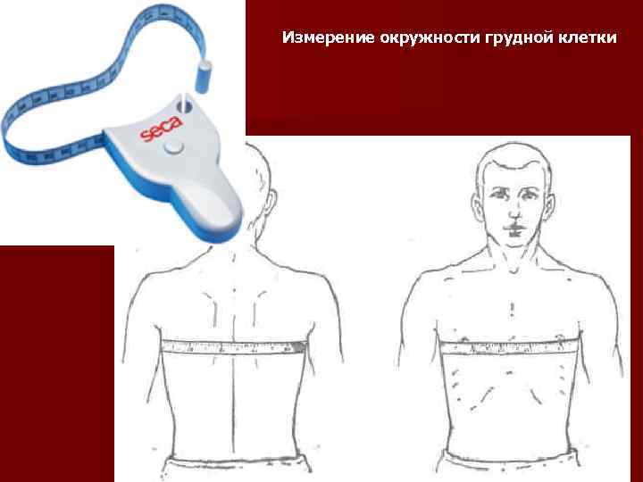 Измерение обхвата грудной клетки 8 класс