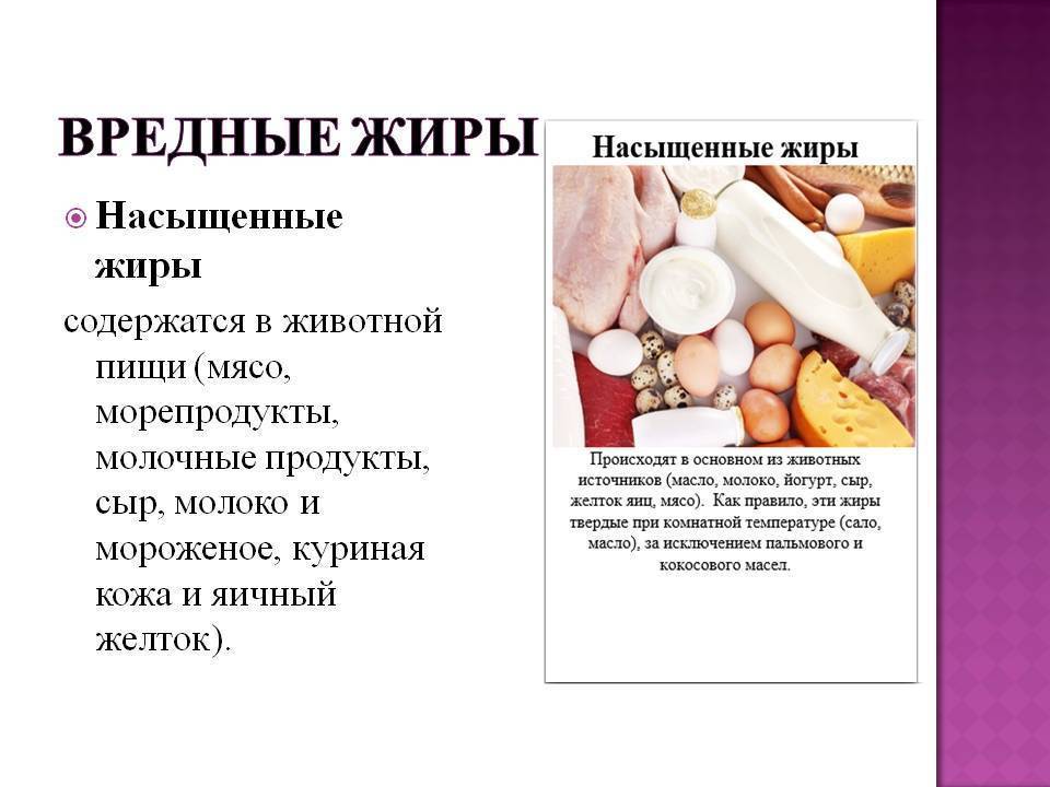 Жиры в организме, в каких продуктах содержится больше всего – эл клиника