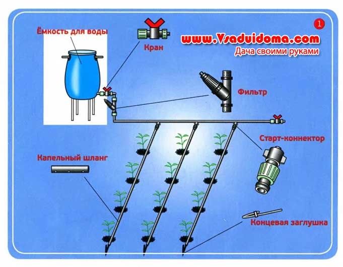 Капельный полив своими руками (77 фото) - из пластиковых труб, для дачи и огорода, растений