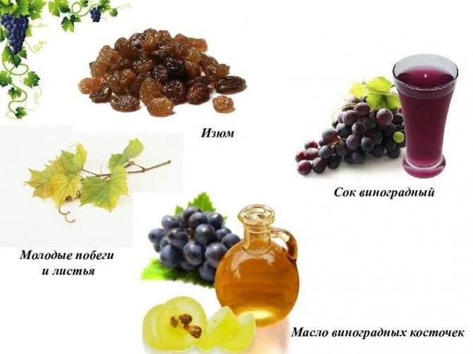 Описание кисло-сладкой ягоды - виноград