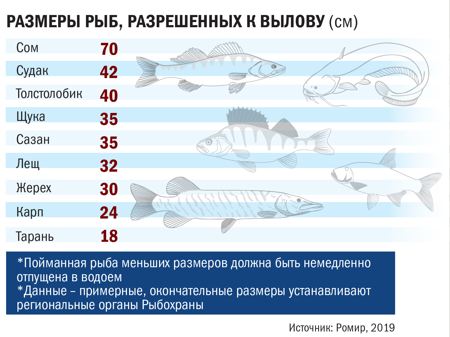 Рыбалка в оренбургской области 2022: отчеты, водоемы, платная рыбалка