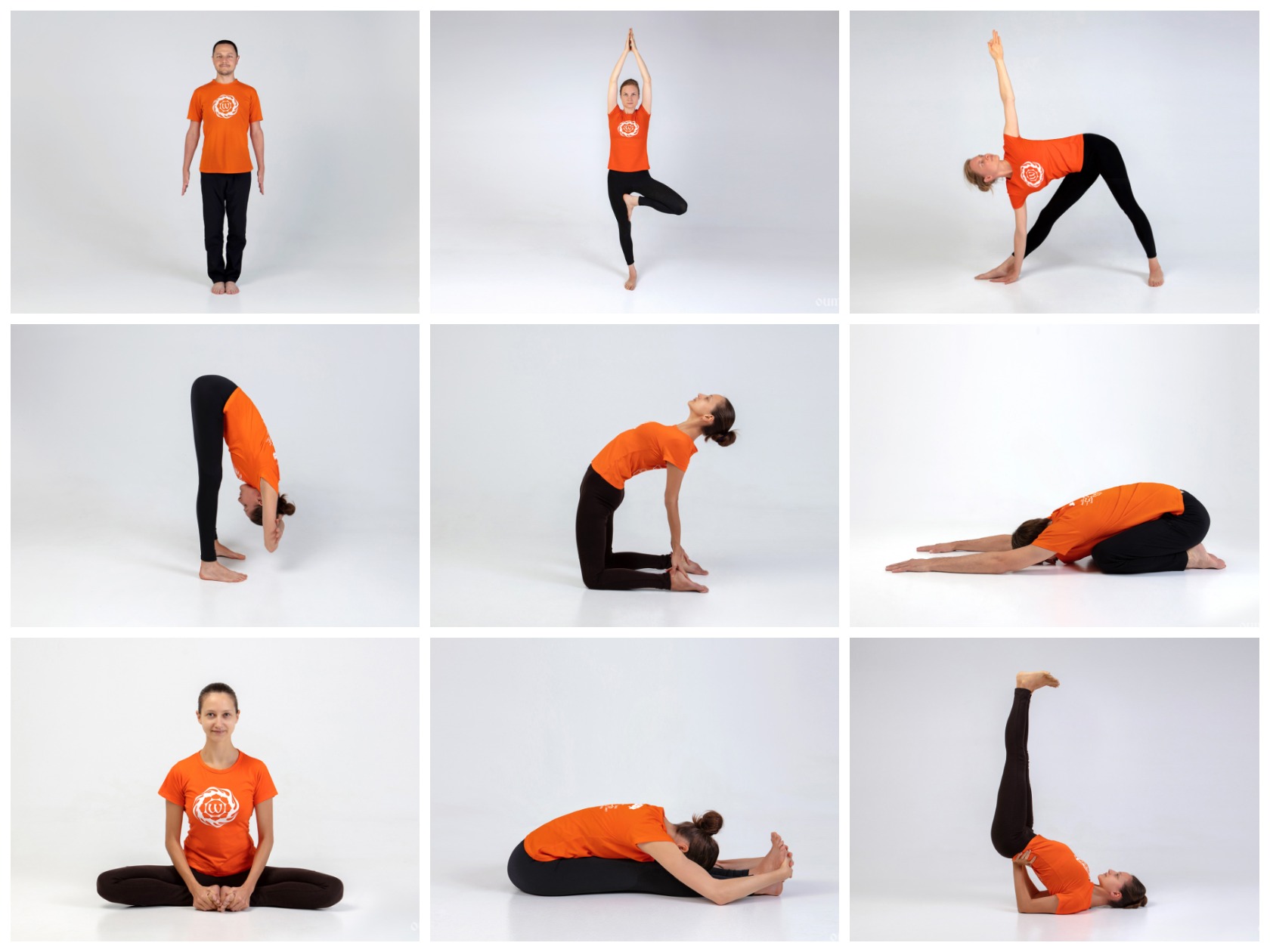 Йога дома: упражнения йоги для начинающих в домашних условиях