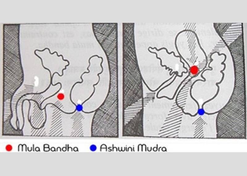 Мула бандха: техника выполнения корневого замка в практике йоги