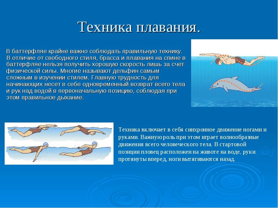 Техника плавания стилями баттерфляй и дельфин