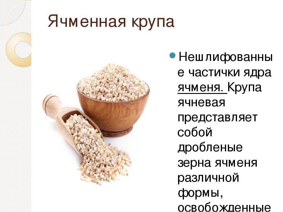 Хлебные злаки: виды, характеристики, выращивание. хлебные зерновые культуры :: syl.ru