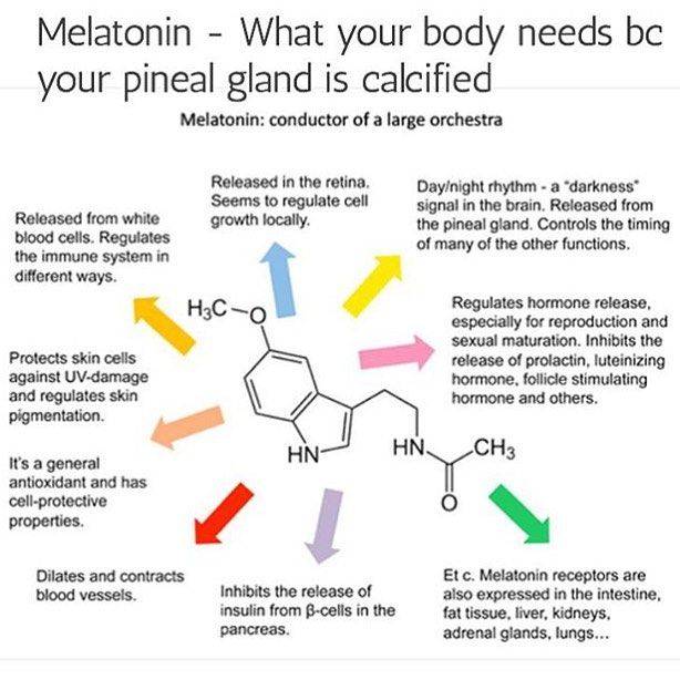 Помогите: стоит ли пить мелатонин, чтобы лучше спалось?