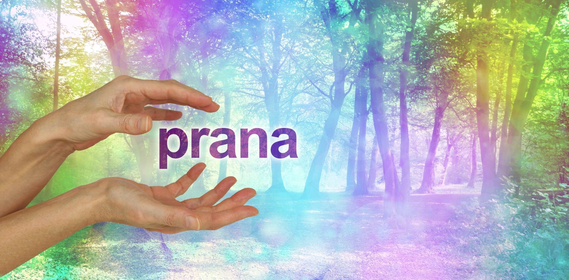 Прана-йога - что это такое и в чем особенности техники