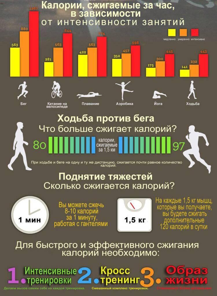 Сколько калорий сжигается при ходьбе пешком за 1 час: во время прогулки, быстрой, скандинавской ходьбы, таблица