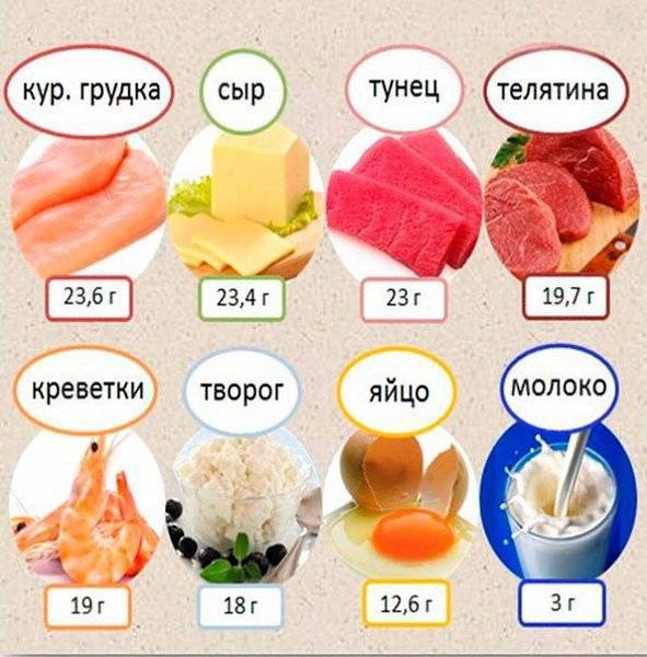 В каких продуктах содержится наибольшее количество белков, таблица