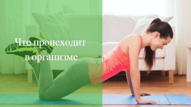 Можно ли заниматься фитнесом во время месячных? физические упражнения, которые можно делать в период критических дней | rulebody.ru — правила тела