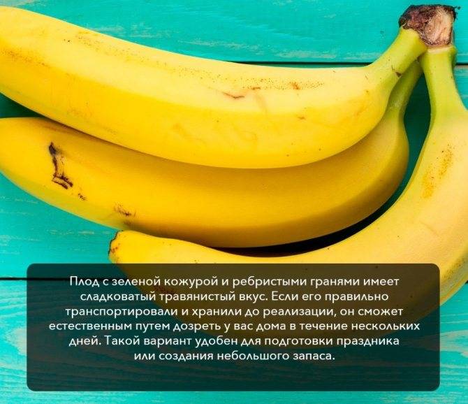 Бананы: калорийность, состав, норма в день, польза и вред