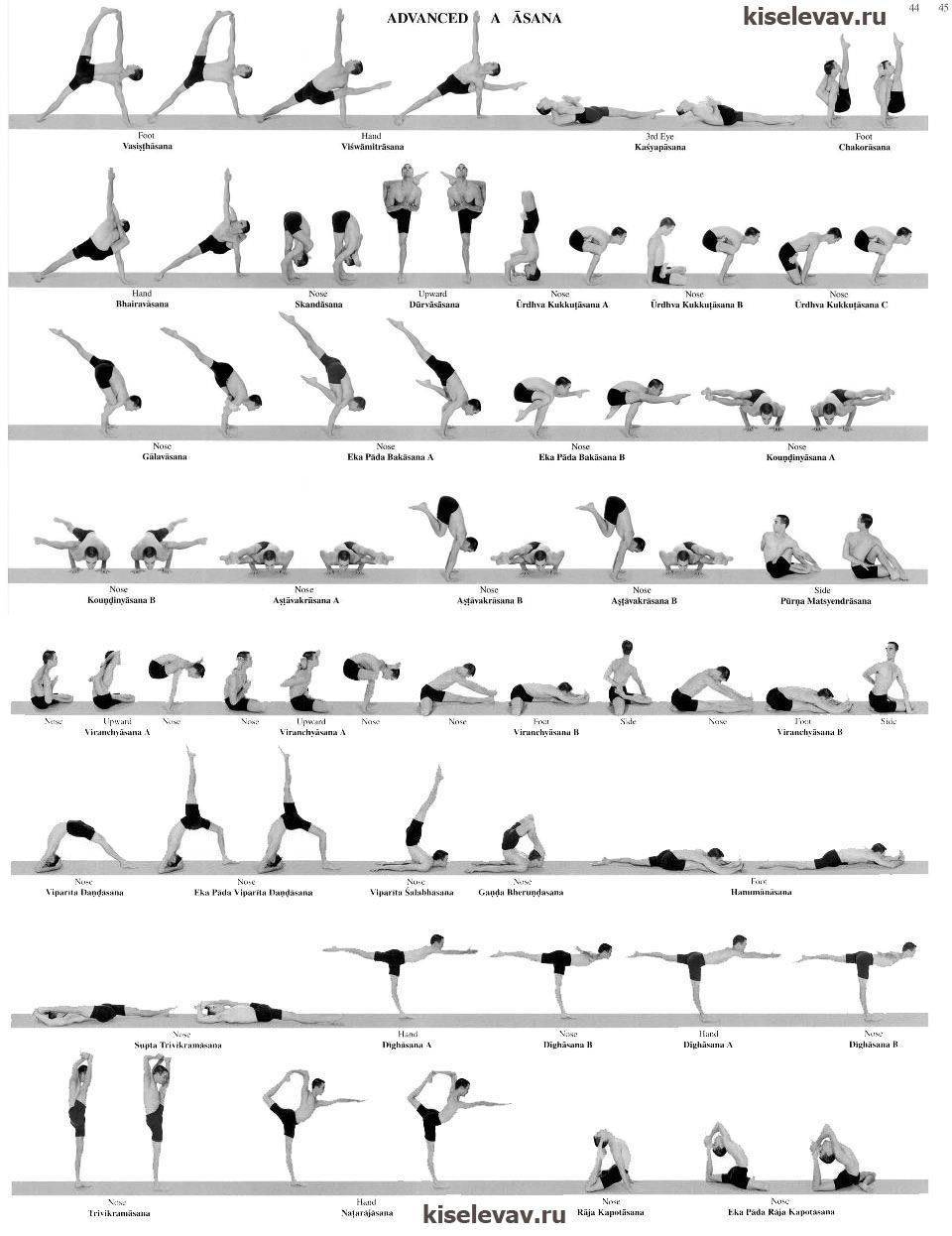 Основные принципы и комплекс упражнений для начинающих практиков инь йоги