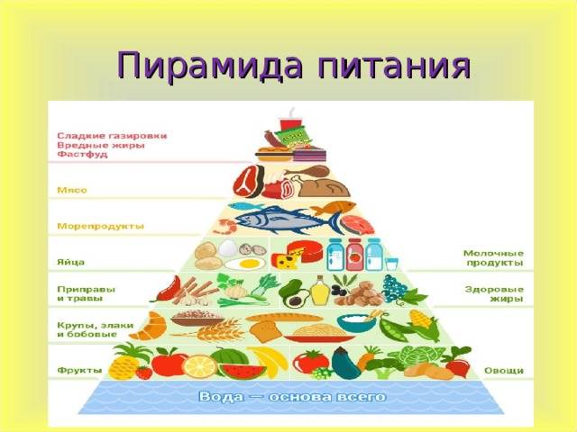 Пирамида здорового питания (пищевая пирамида человека): основные правила