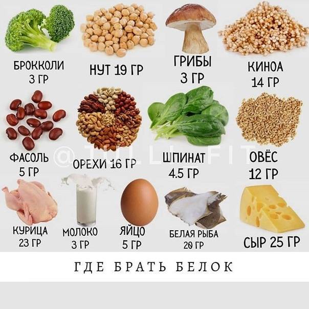 Растительный белок для вегетарианцев: список продуктов с высоким содержанием протеина вегетарианцам для питания