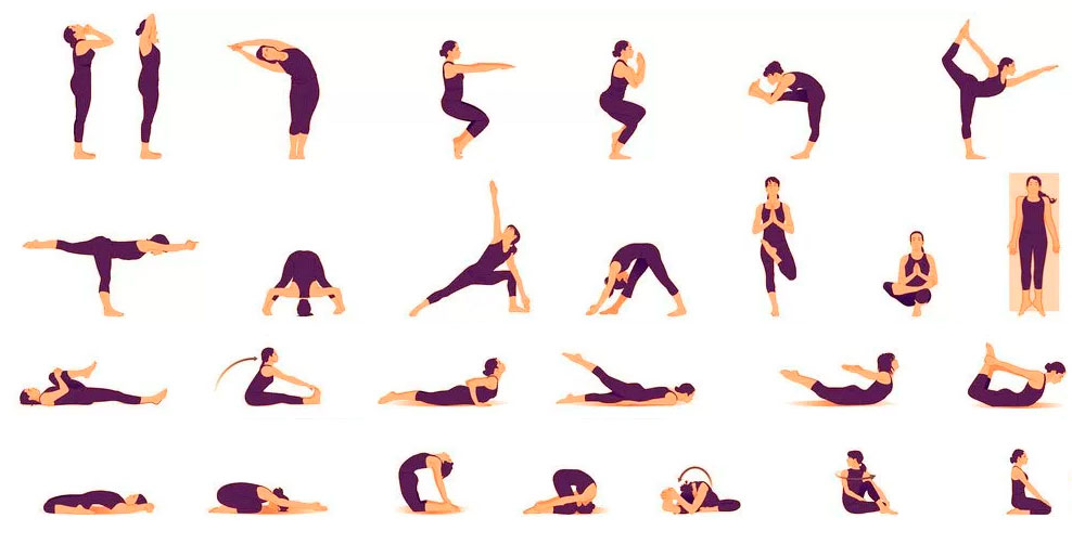 Основы йоги для начинающих