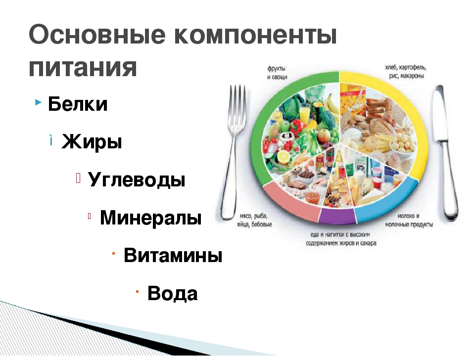 § 23. компоненты пищи и их функции: основные функции и источники компонентов пищи
