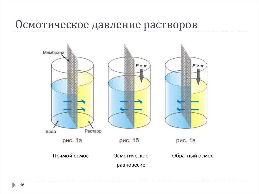 Растворы газов. Обратный осмос равновесие и прямой. Прямой осмос. Состав растворов физическая химия. Истинный раствор газа в жидкости.