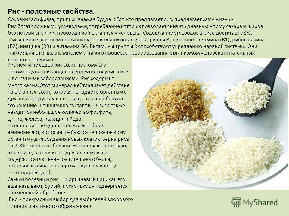 Рис: польза и вред для здоровья человека. виды и применение крупы