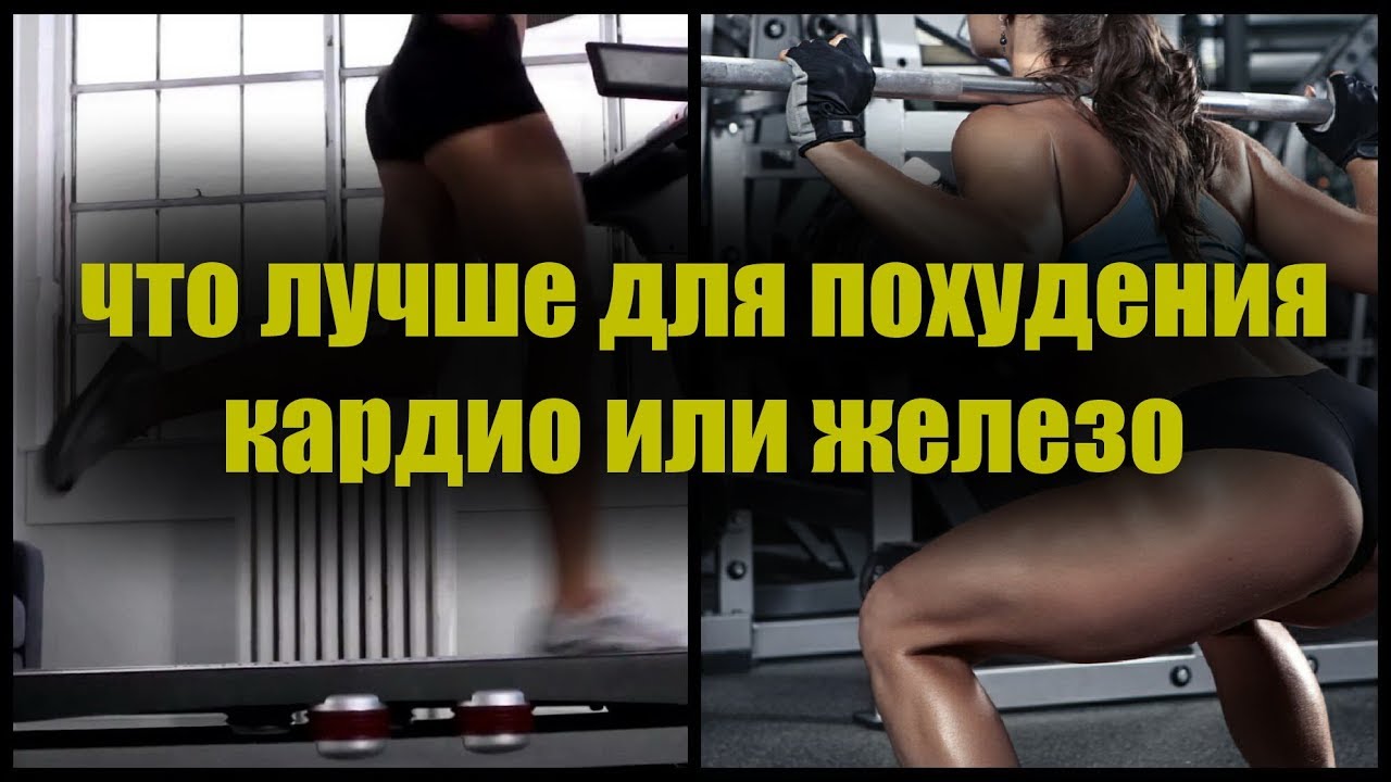 Кардиотренировки fitness3000.ru — что это такое? ответы на самые популярные вопросы