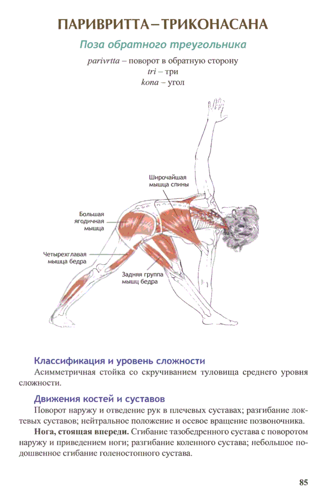 Комплекс упражнений при остеохондрозе шейного отдела