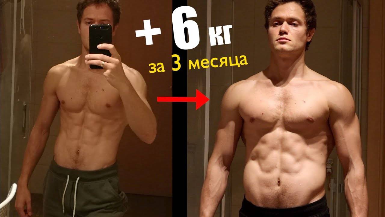 За сколько можно накачать пресс и убрать живот