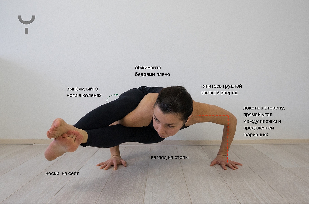 Виды йоги: как правильно выбрать направление? – the base