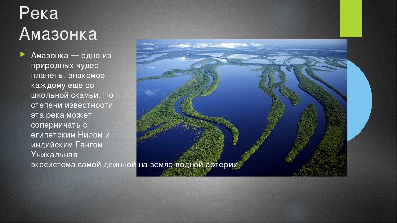 Полноводные реки предложение. Амазонка река Укаяли. Проект река Амазонка. Река Амазонка презентация.