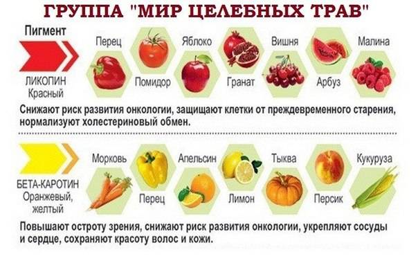 Питание при повышенном уровне холестерина - здоровая россия