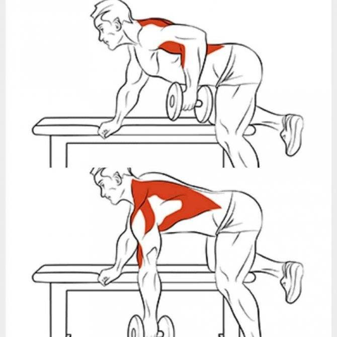 Как накачать мышцы спины дома без тренажеров