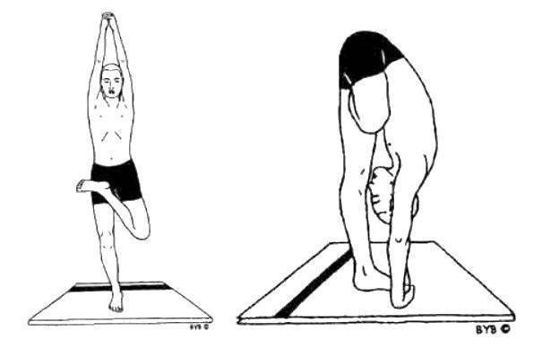 Поза посоха дандасана в йоге: выполнение и польза