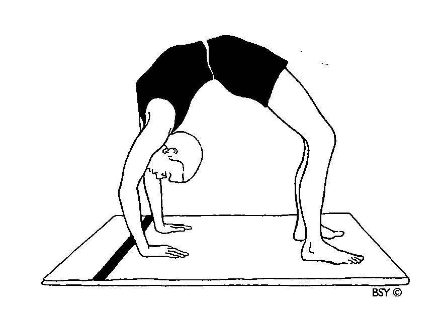 Мостик гимнастический, как правильно делать упражнение мост, польза и вред