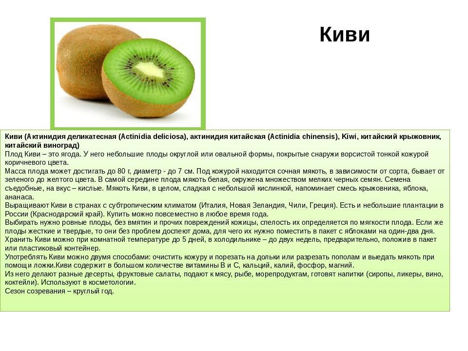Киви: польза и вред, витамины и калорийность