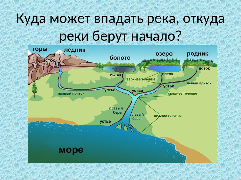 ????река лена: притоки, исток, устье, карта с координатами, фотогаллерея