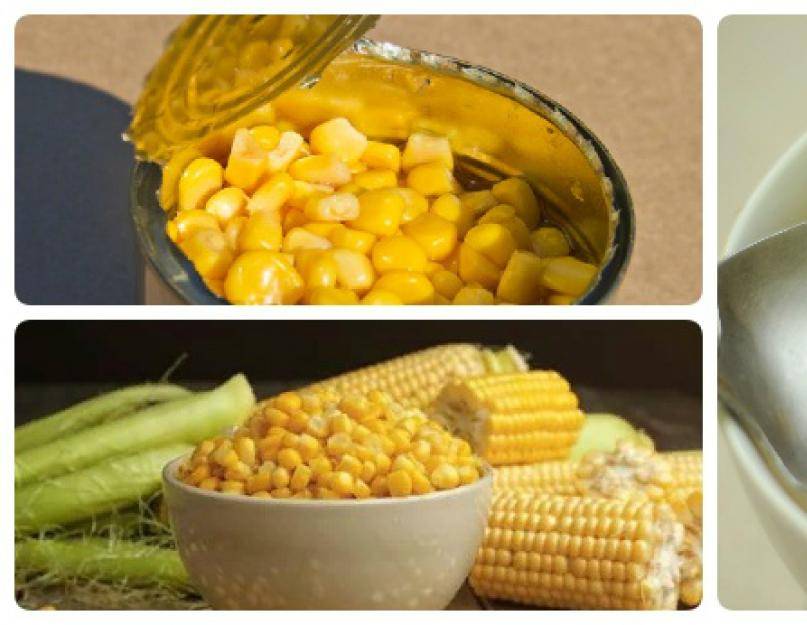Кукуруза: калорийность, пищевая ценность, состав, польза и вред для здоровья