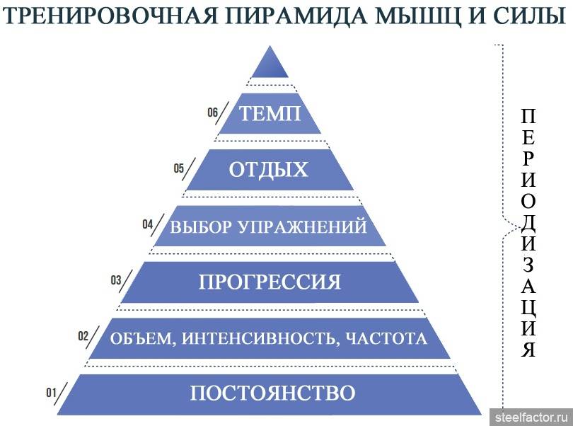 Пирамида в бодибилдинге