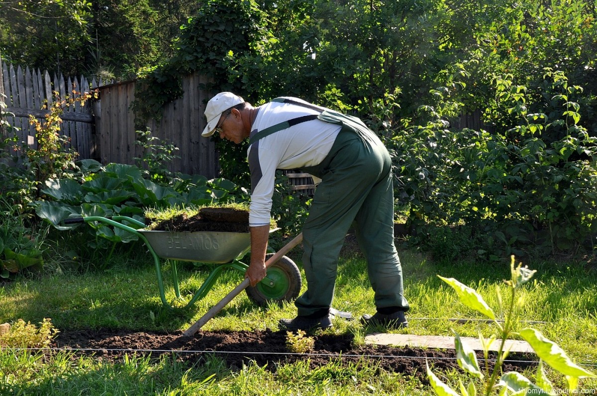 Правильная вспашка земли с помощью мотоблока, настройка и подготовка огорода к пахоте