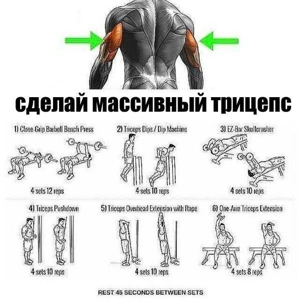 Как самостоятельно составить программу тренировок