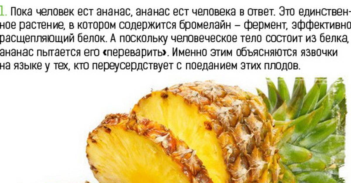 Консервированные ананасы. калорийность и польза консервированных ананасов