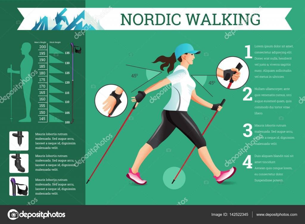 Скандинавская ходьба (ходьба с палками): как правильно ходить (техника), чем полезна (показание и противопоказания норвежская и финской ходьба) | sh