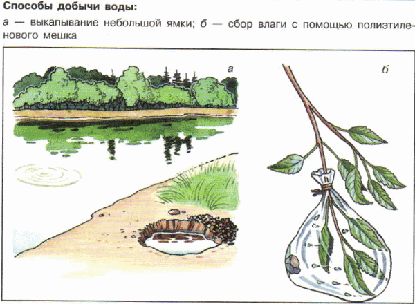 Несколько способов, как сделать из морской воды пресную