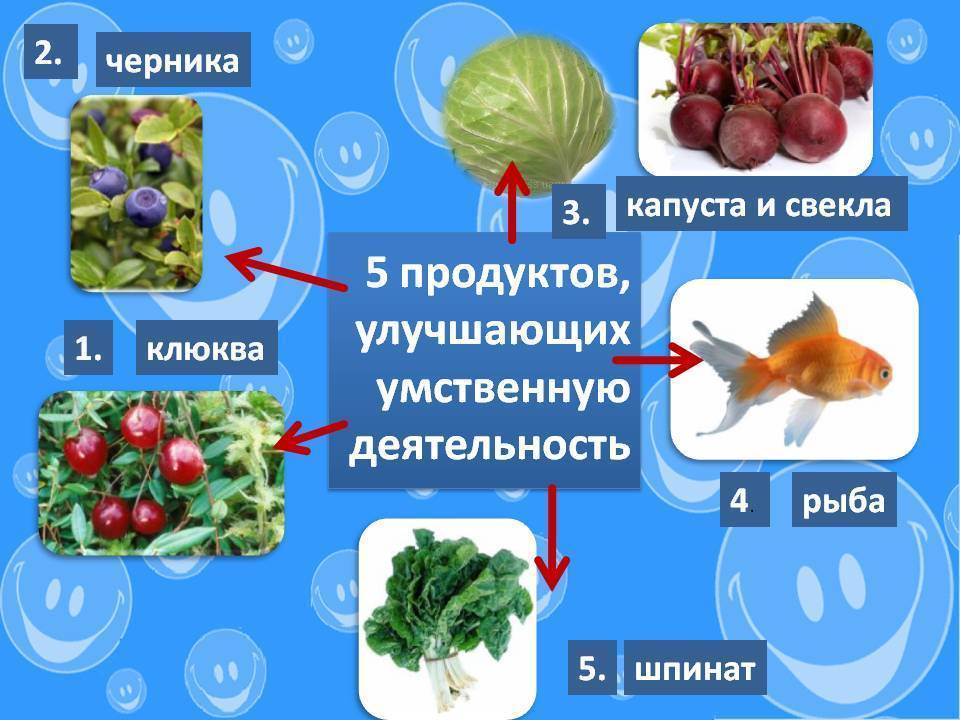 20 продуктов для мозга: какая пища самая полезная для улучшения работы нервной системы и повышения работоспособности человека?